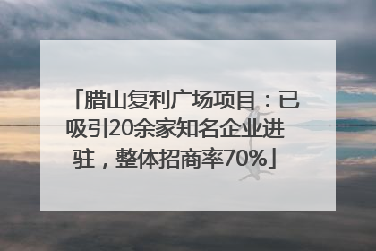 腊山复利广场项目：已吸引20余家知名企业进驻，整体招商率70%